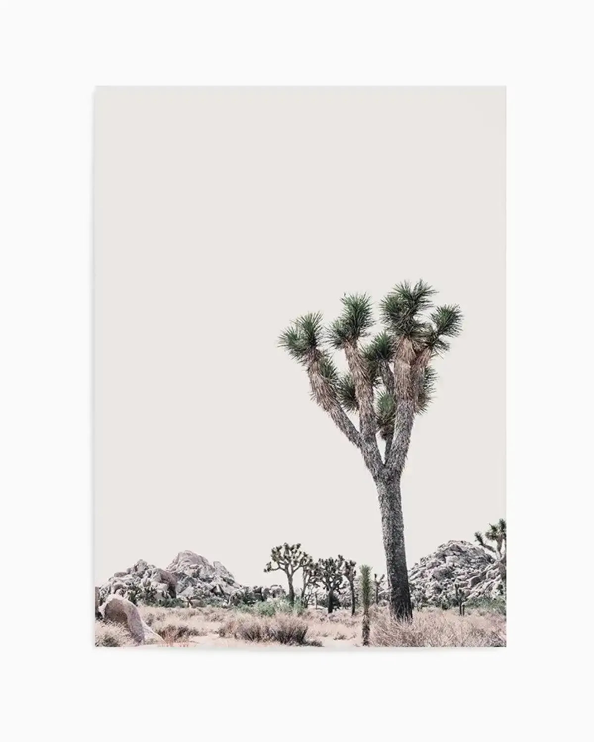 Blushing Joshua Tree II Art Print from Olive et Oriel where you can shop wallpaper and artworks online