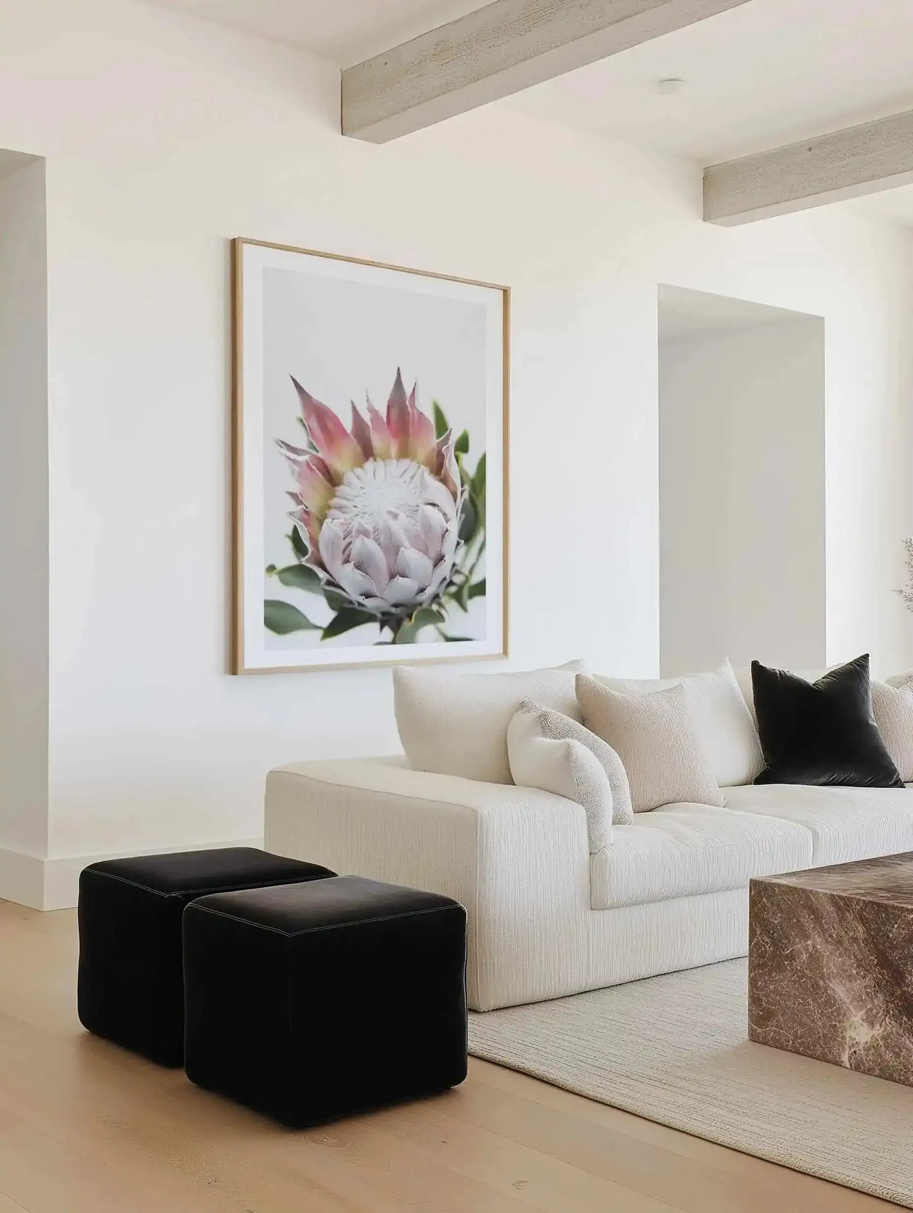Blushing Protea Art Print from Olive et Oriel where you can shop wallpaper and artworks online