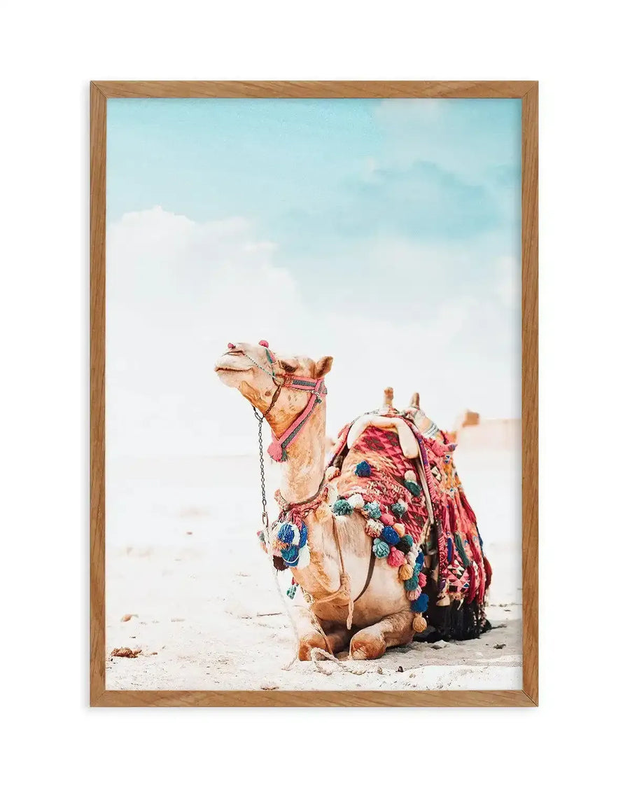 Framed art print featuring a photograph of a decorated camel sitting in a desert landscape. The camel wears colorful pink, blue, and red ornamental tassels and embroidered saddle blankets. The sky above is soft pale blue with white clouds. The natural wood frame has a warm honey tone. The photograph has a calm, minimalist composition with the camel centered against an expansive sandy horizon.