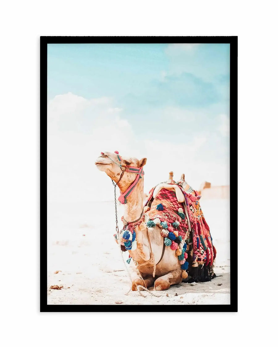 Framed art print featuring a photograph of a decorated camel sitting on pale sand against a bright blue sky with white clouds. The camel wears a pink and purple embroidered saddle blanket with colorful pompoms in red, blue, and green hanging from its sides. A second camel is visible in the soft focus background. The photograph has warm, natural tones with the camel's tan coat contrasting against the vibrant textile decorations. Black frame with white border.
