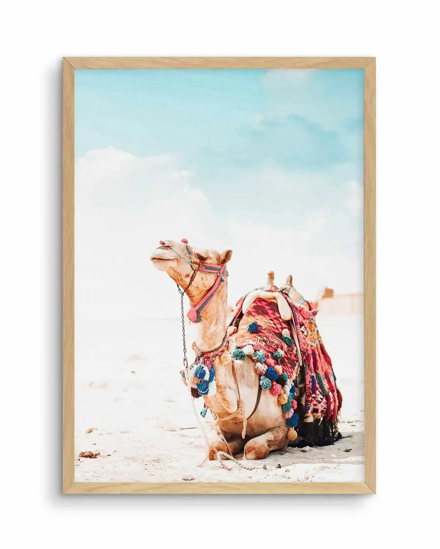 Framed art print featuring a decorated camel sitting in a desert landscape. The camel wears colorful pink and purple tasseled saddle blankets adorned with blue and multicolored pom-poms. The animal is photographed against a bright blue sky with soft white clouds and sandy, beige terrain. Additional camels are visible blurred in the background. The photograph has warm, soft tones with a bohemian aesthetic. The print is mounted in a natural wood frame with white border.