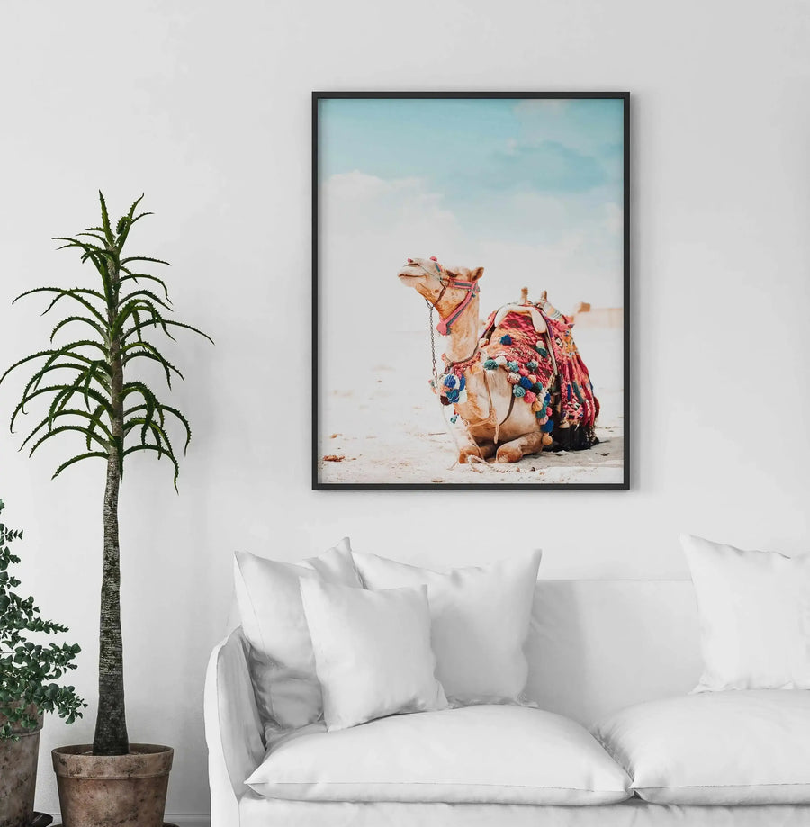 Bohemian Camel Art Print displayed in a black frame on a white wall above a white linen sofa. The framed artwork shows a decorated camel sitting on pale sand against a soft blue sky with white clouds. The camel wears vibrant red and pink embroidered blankets and ornamental tassels. The photograph has warm, muted tones with soft natural lighting. A tall potted plant with narrow green leaves sits to the left of the framed print. The print is mounted with a white border inside the black frame.