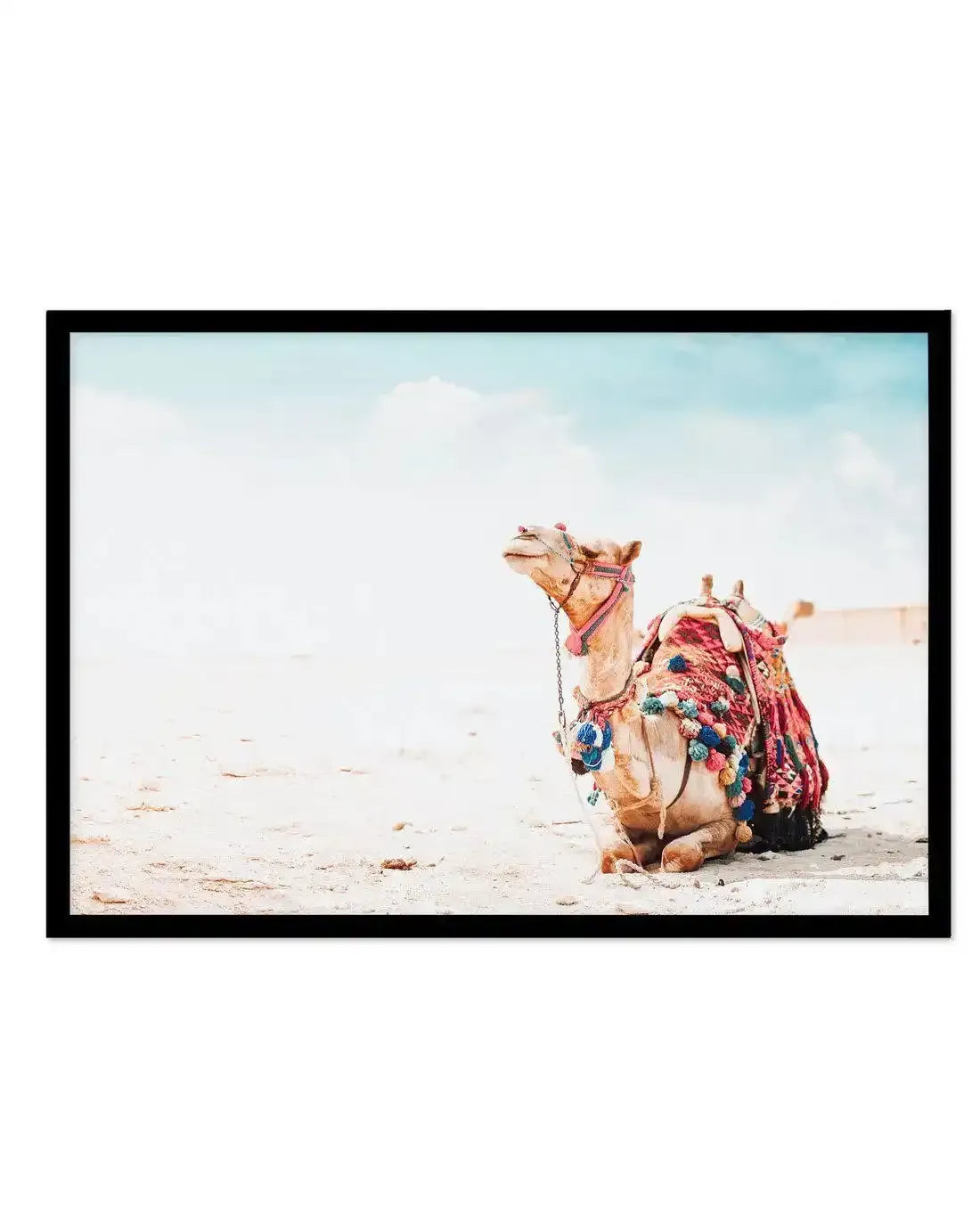 Bohemian Camel | LS Art Print-Shop Australian Art Prints Online with Olive et Oriel - Our collection of Moroccan art prints offer unique wall art including moroccan arches and pink morocco doors of marrakech - this collection will add soft feminine colour to your walls and some may say bohemian style. These traditional morocco landscape photography includes desert scenes of palm trees and camel art prints - there is art on canvas and extra large wall art with fast, free shipping across Australia