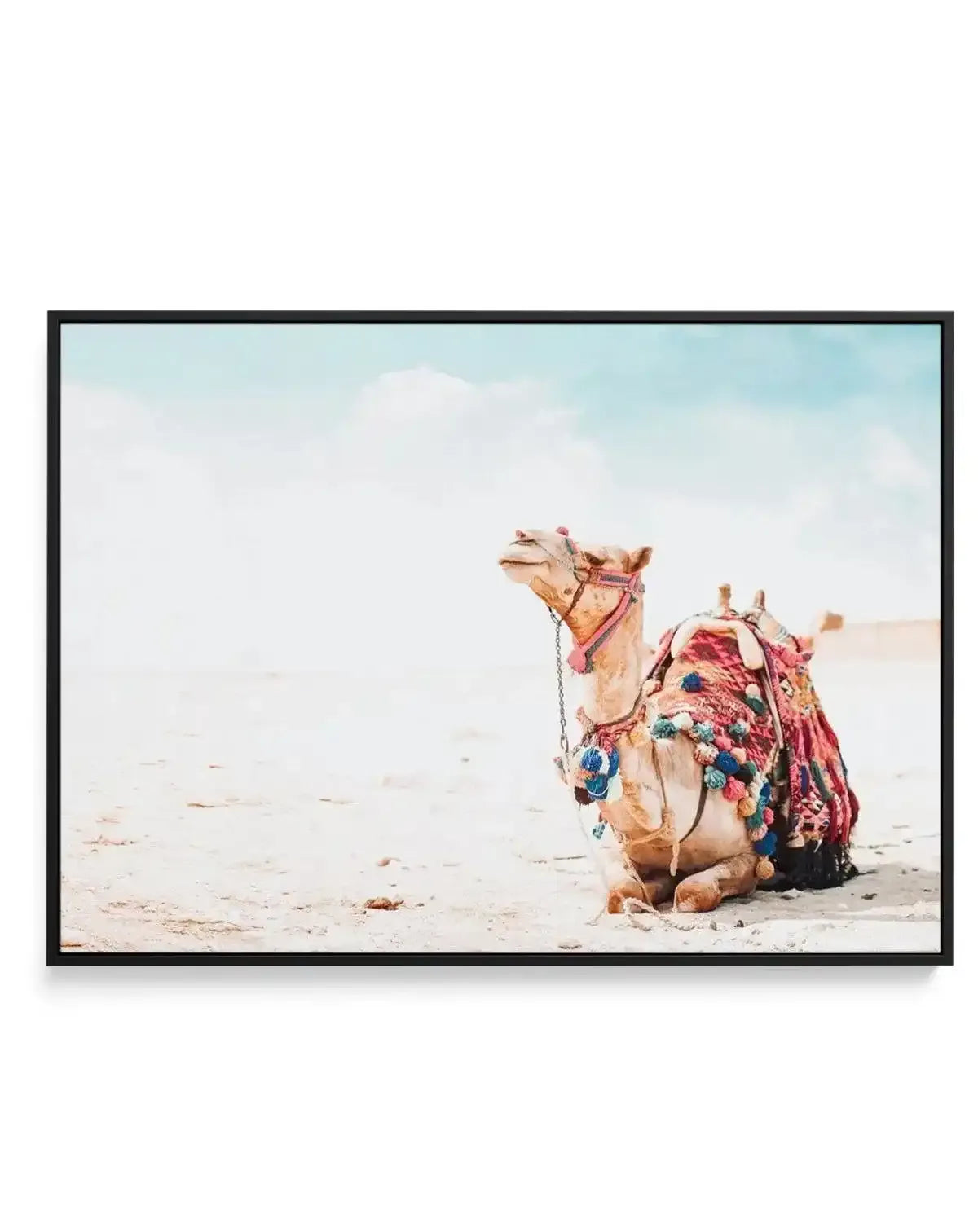 Bohemian Camel | LS | Framed Canvas-Shop Australian Art Prints Online with Olive et Oriel - Our collection of Moroccan art prints offer unique wall art including moroccan arches and pink morocco doors of marrakech - this collection will add soft feminine colour to your walls and some may say bohemian style. These traditional morocco landscape photography includes desert scenes of palm trees and camel art prints - there is art on canvas and extra large wall art with fast, free shipping across Aus