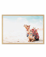 Bohemian Camel | LS Art Print
