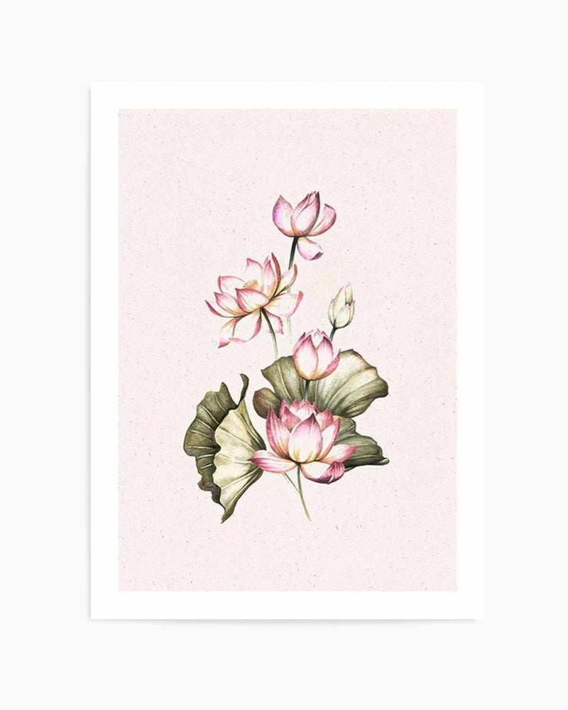Bohemian Lotus I Art Print