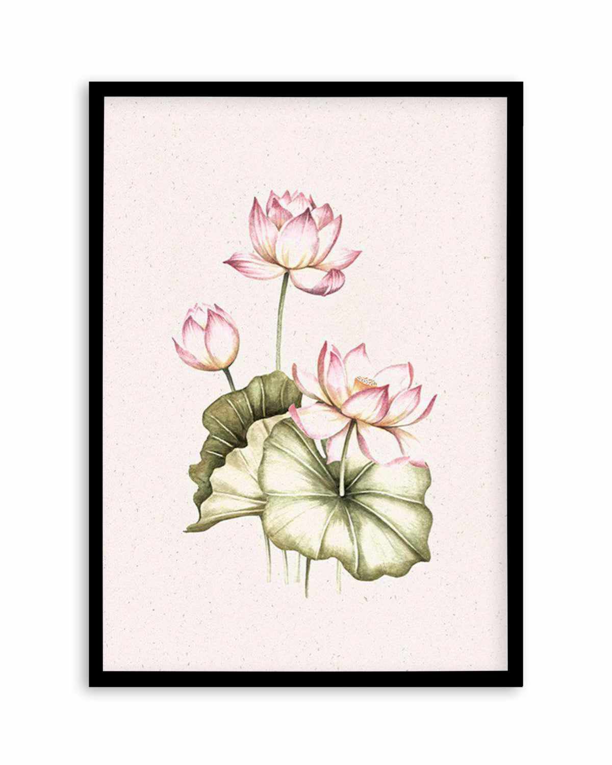 Bohemian Lotus II Art Print