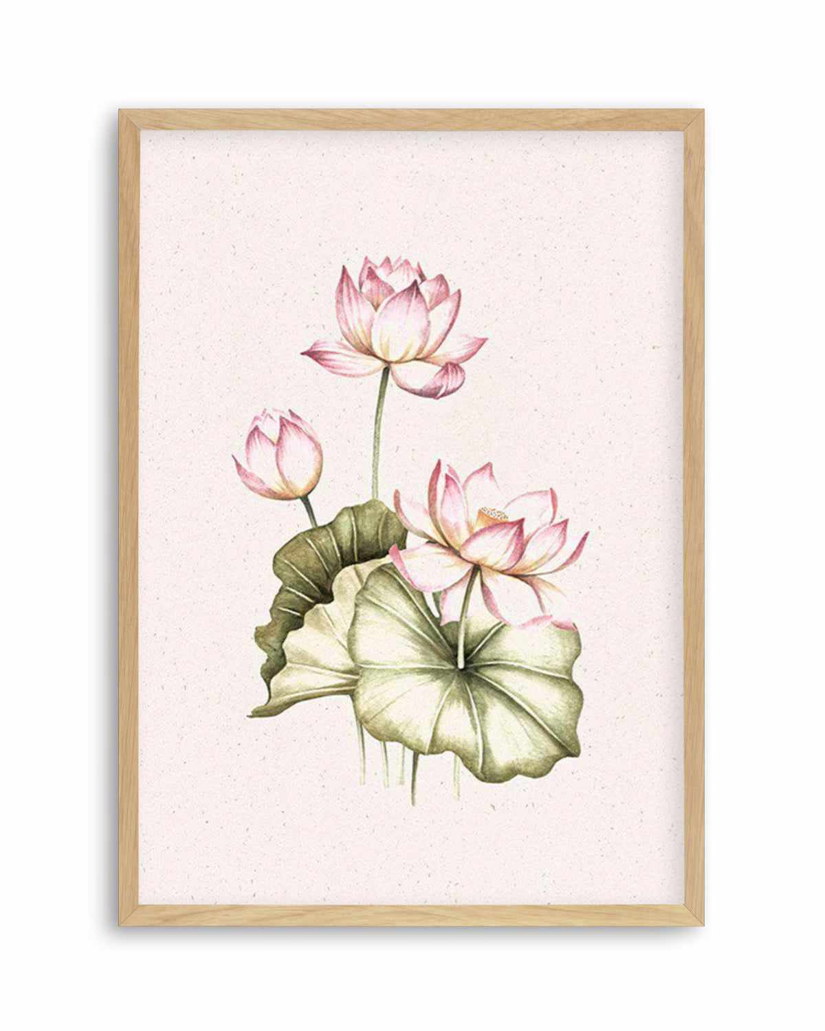 Bohemian Lotus II Art Print