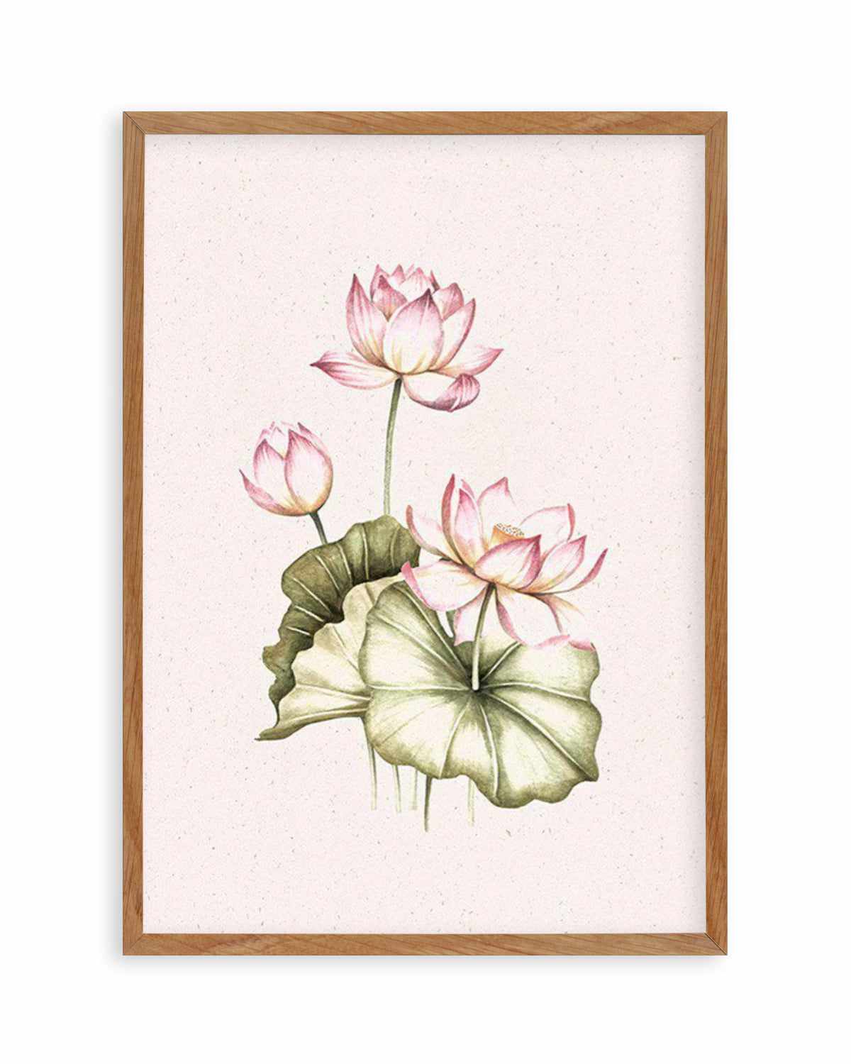 Bohemian Lotus II Art Print