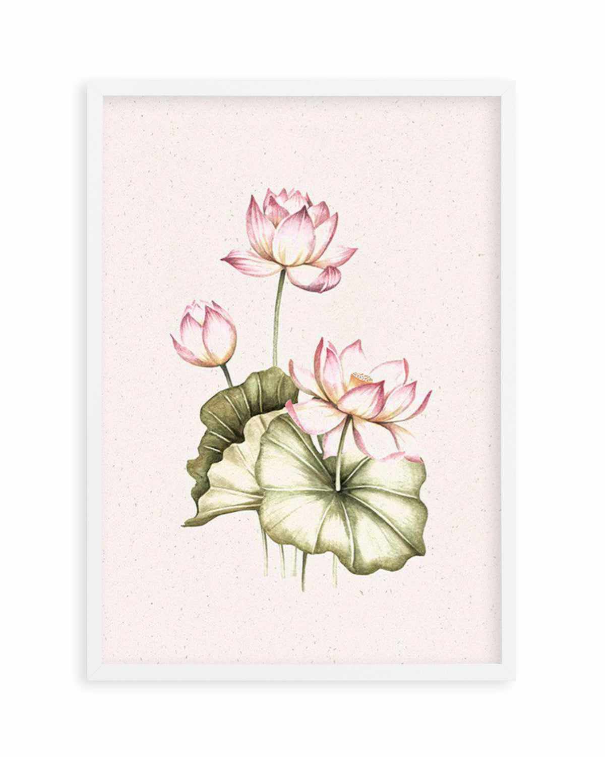 Bohemian Lotus II Art Print