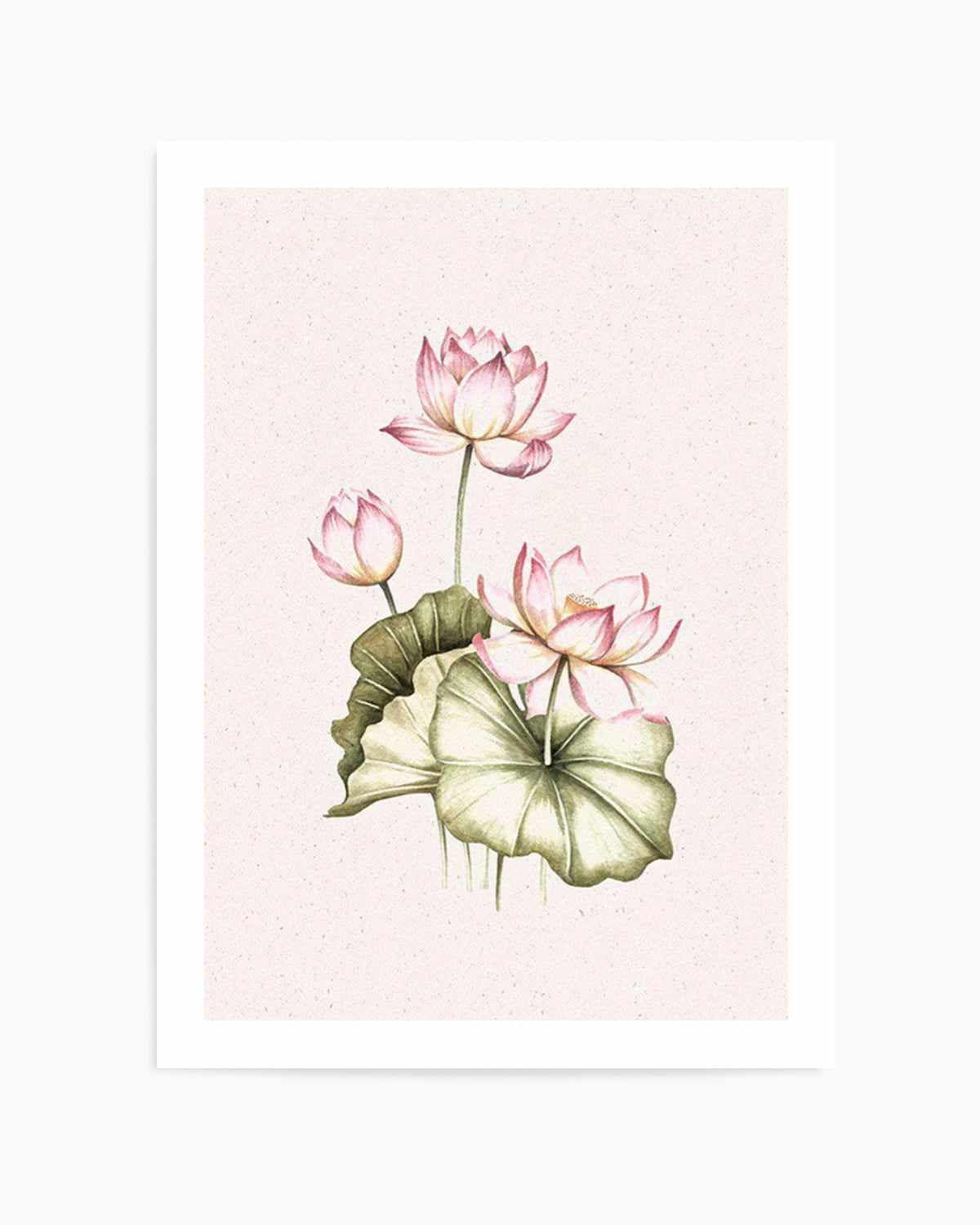 Bohemian Lotus II Art Print