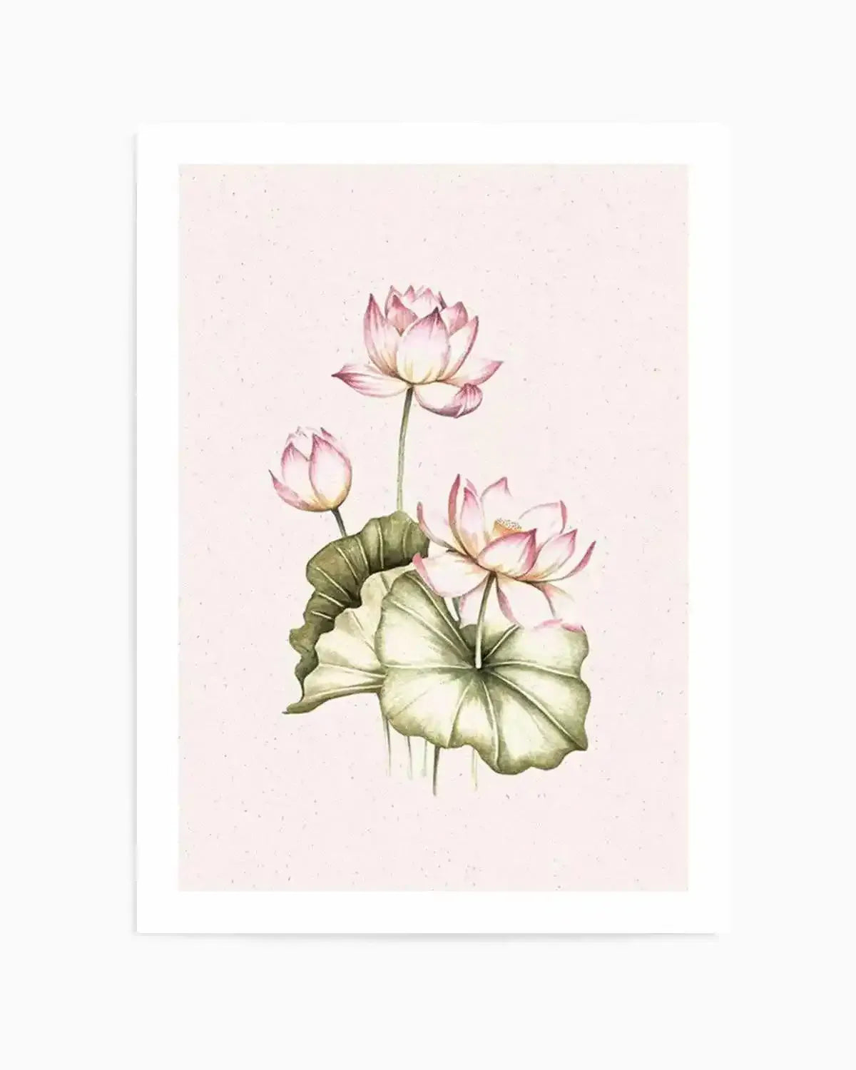 Bohemian Lotus II Art Print from Olive et Oriel where you can shop wallpaper and artworks online