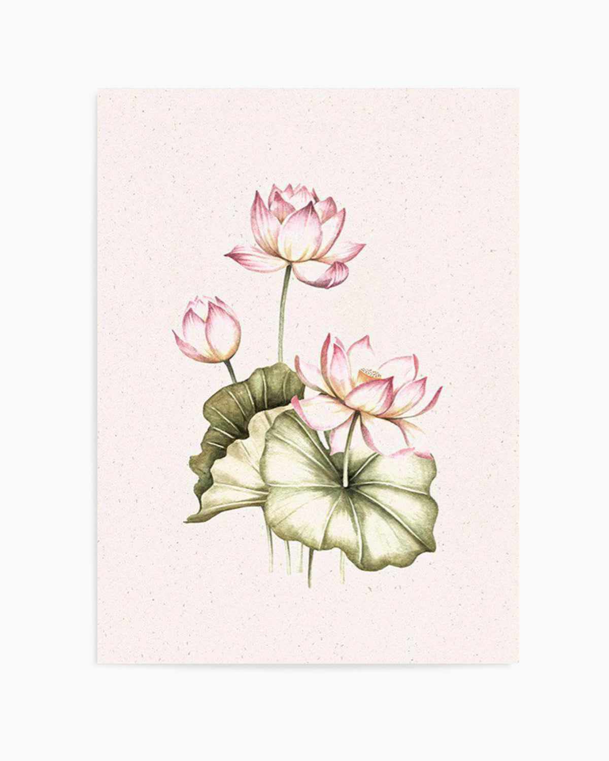 Bohemian Lotus II Art Print