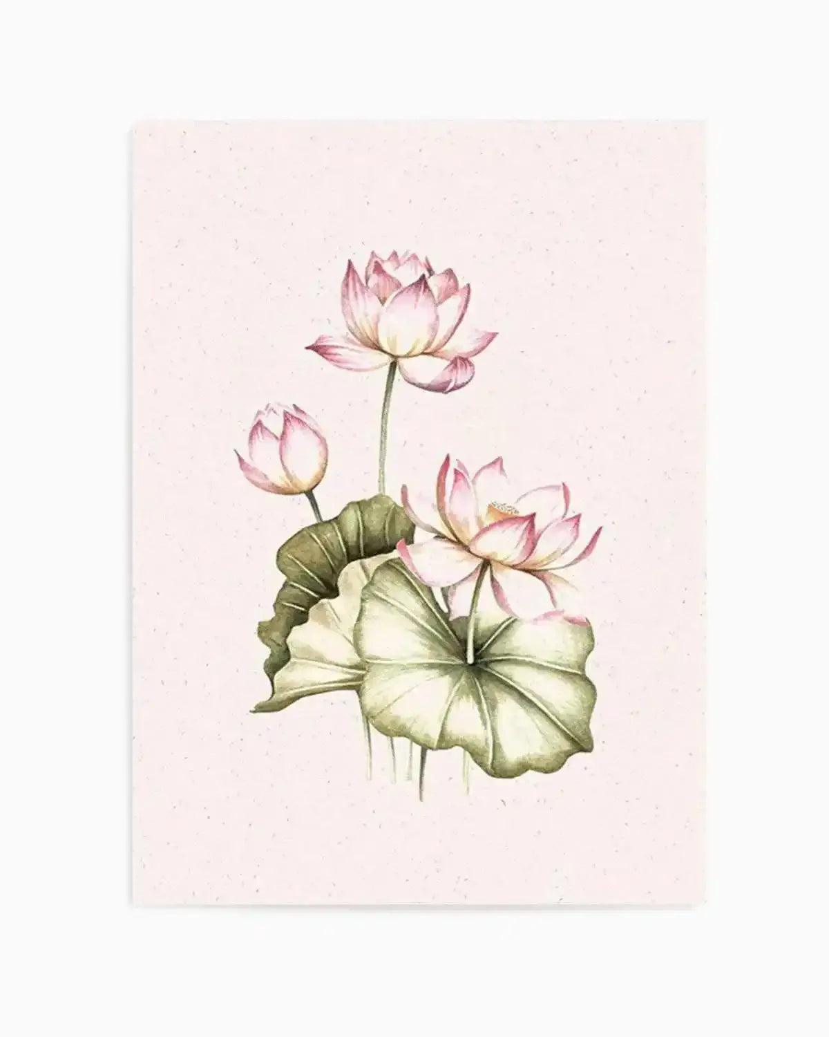 Bohemian Lotus II Art Print from Olive et Oriel where you can shop wallpaper and artworks online