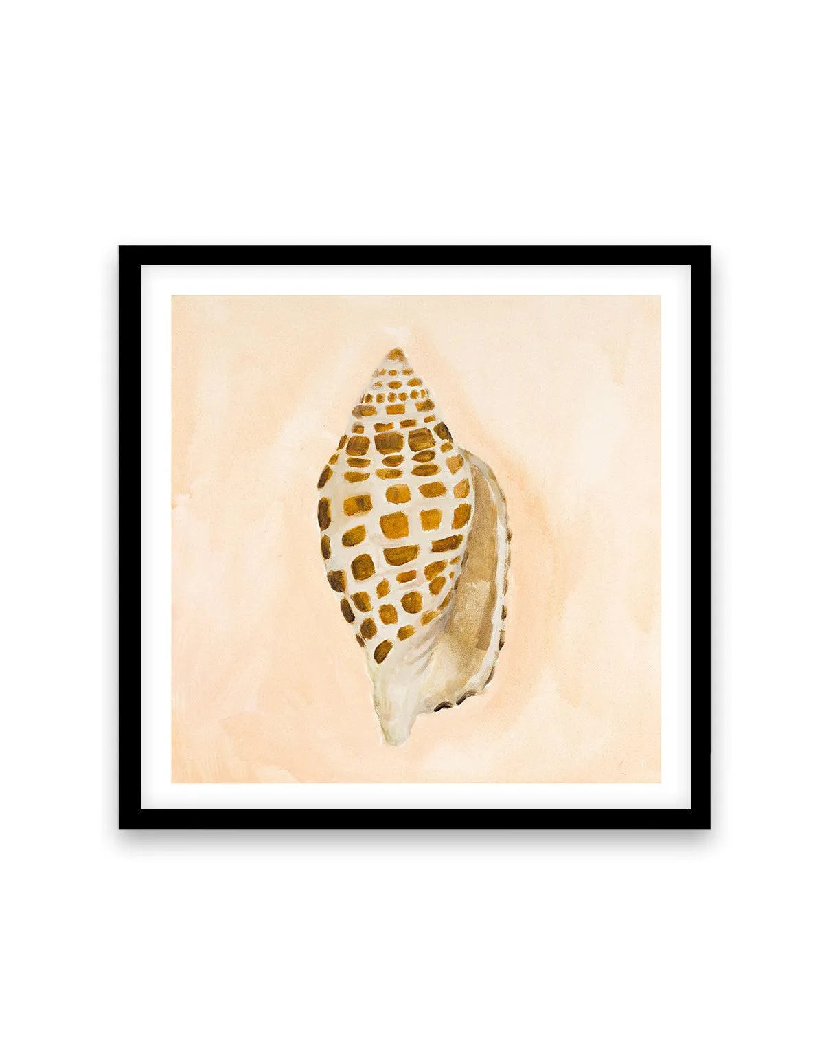 Bohemian Shell I by Natalie Jane Art Print from Olive et Oriel where you can shop wallpaper and artworks online
