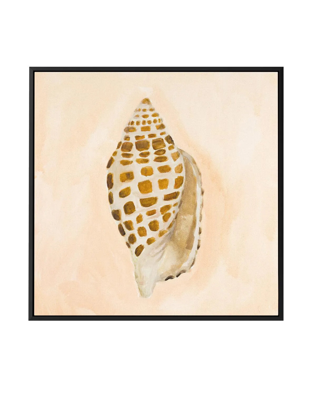 Bohemian Shell I by Natalie Jane | Framed Canvas Art Print from Olive et Oriel where you can shop wallpaper and artworks online