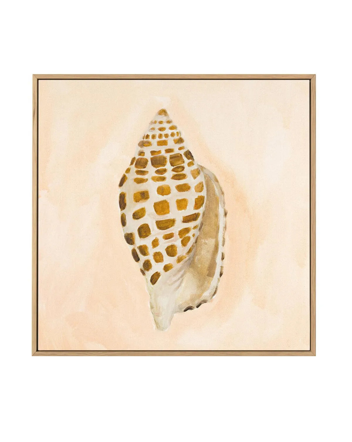 Bohemian Shell I by Natalie Jane | Framed Canvas Art Print from Olive et Oriel where you can shop wallpaper and artworks online