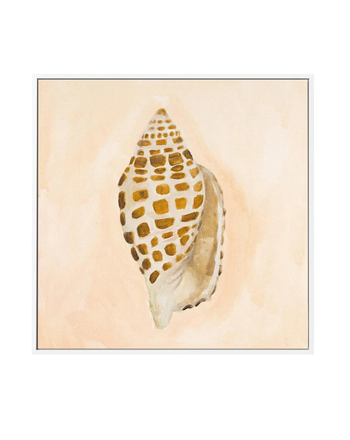 Bohemian Shell I by Natalie Jane | Framed Canvas Art Print from Olive et Oriel where you can shop wallpaper and artworks online