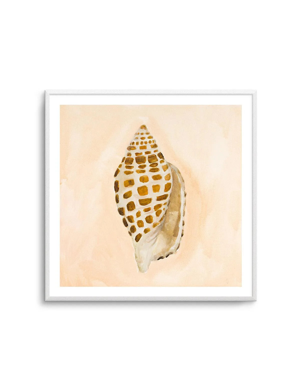 Bohemian Shell I by Natalie Jane Art Print from Olive et Oriel where you can shop wallpaper and artworks online