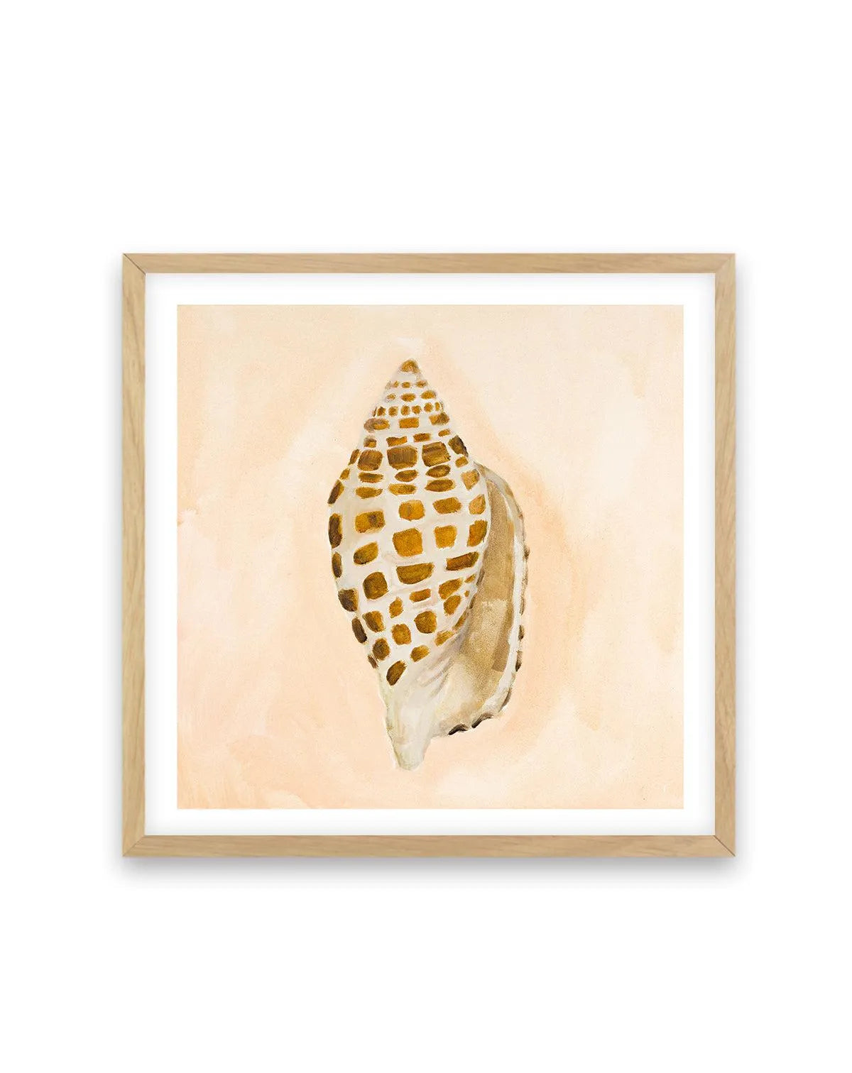 Bohemian Shell I by Natalie Jane Art Print from Olive et Oriel where you can shop wallpaper and artworks online