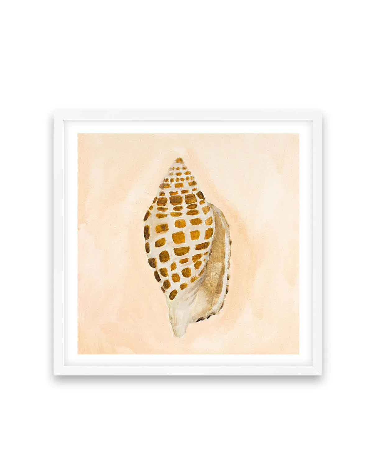 Bohemian Shell I by Natalie Jane Art Print from Olive et Oriel where you can shop wallpaper and artworks online