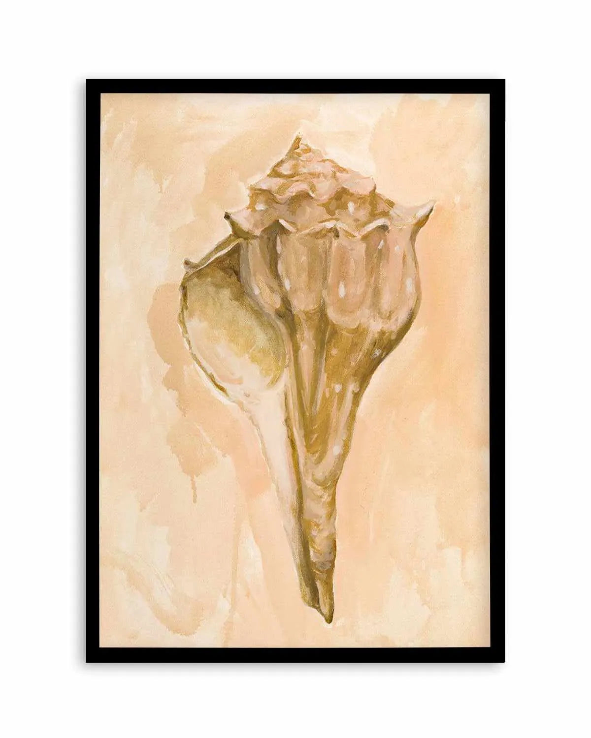 Bohemian Shell III by Natalie Jane Art Print from Olive et Oriel where you can shop wallpaper and artworks online