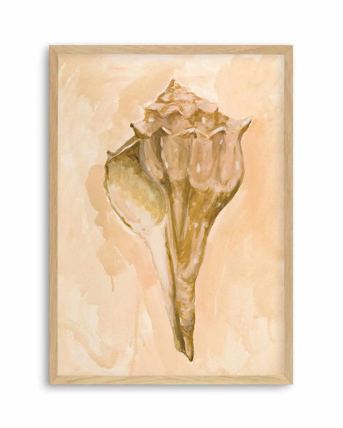 Bohemian Shell III by Natalie Jane Art Print from Olive et Oriel where you can shop wallpaper and artworks online