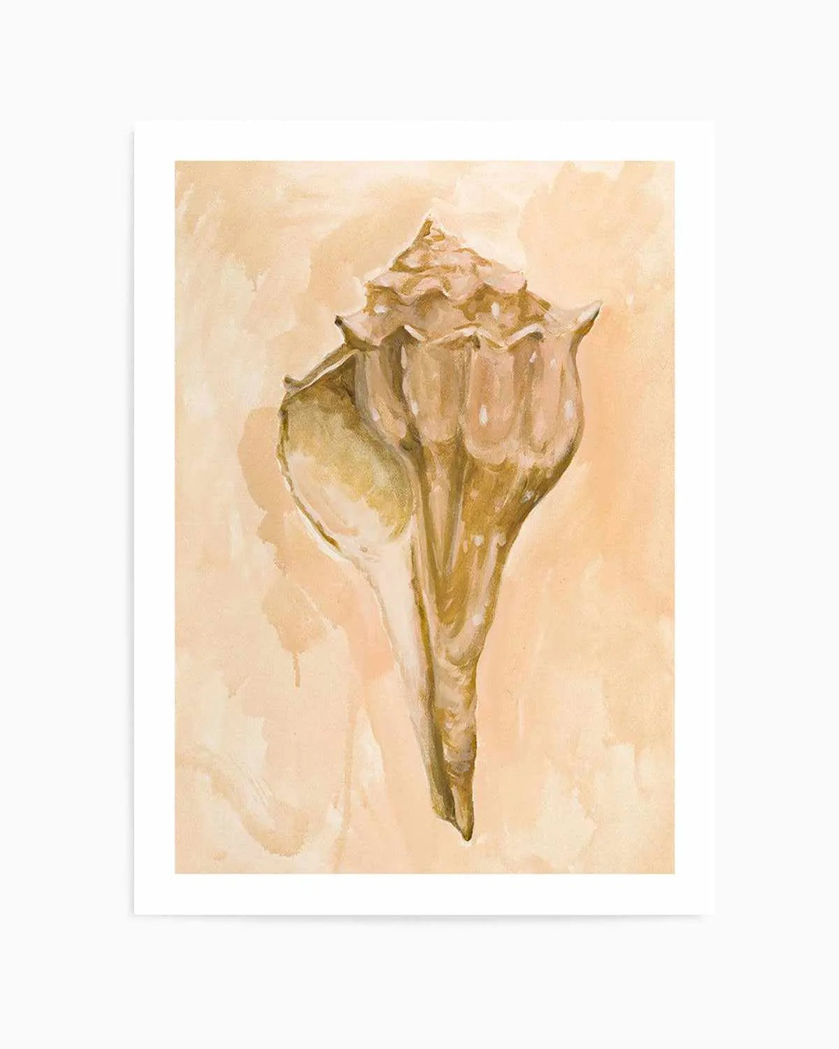 Bohemian Shell III by Natalie Jane Art Print from Olive et Oriel where you can shop wallpaper and artworks online