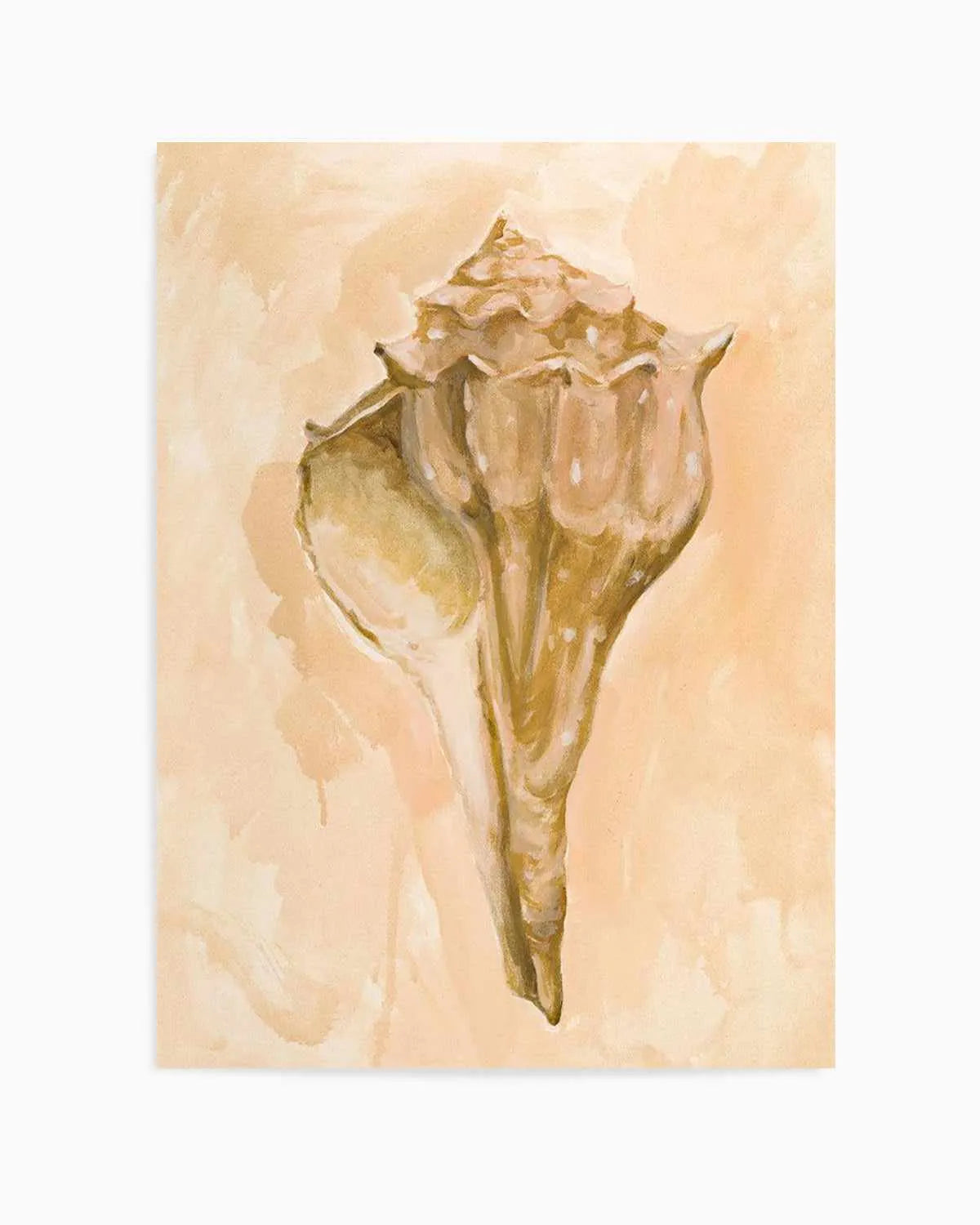 Bohemian Shell III by Natalie Jane Art Print from Olive et Oriel where you can shop wallpaper and artworks online