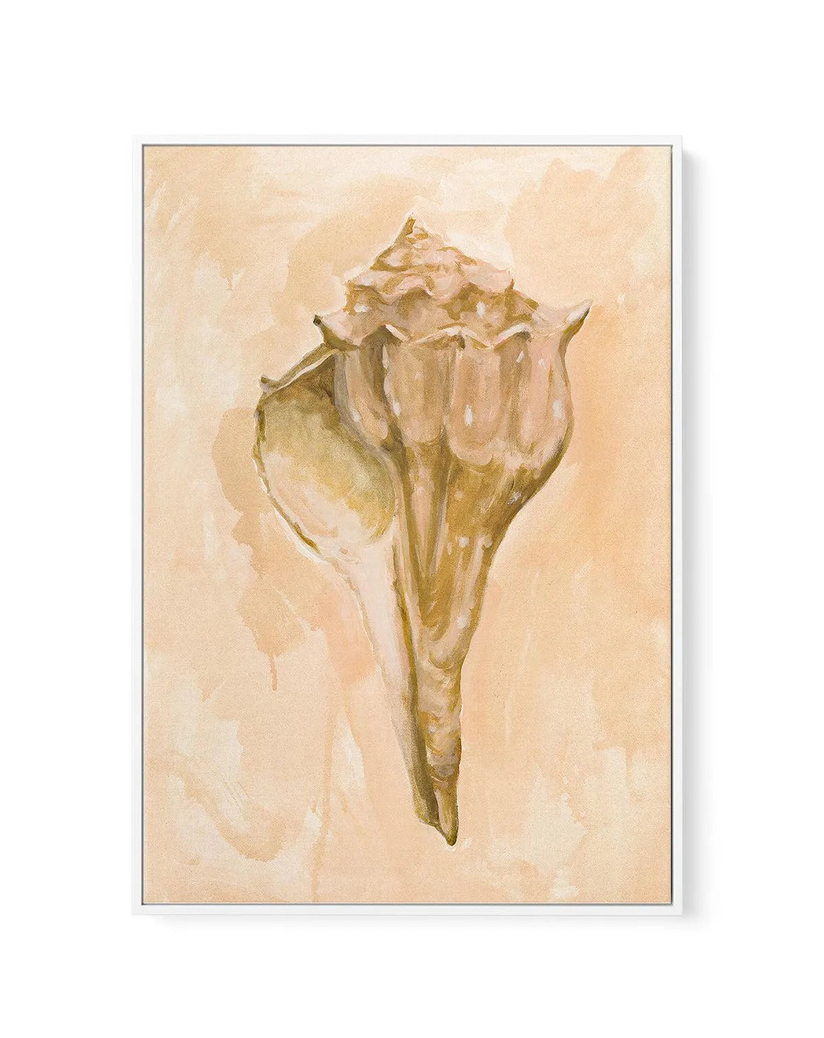 Bohemian Shell III by Natalie Jane | Framed Canvas Art Print from Olive et Oriel where you can shop wallpaper and artworks online