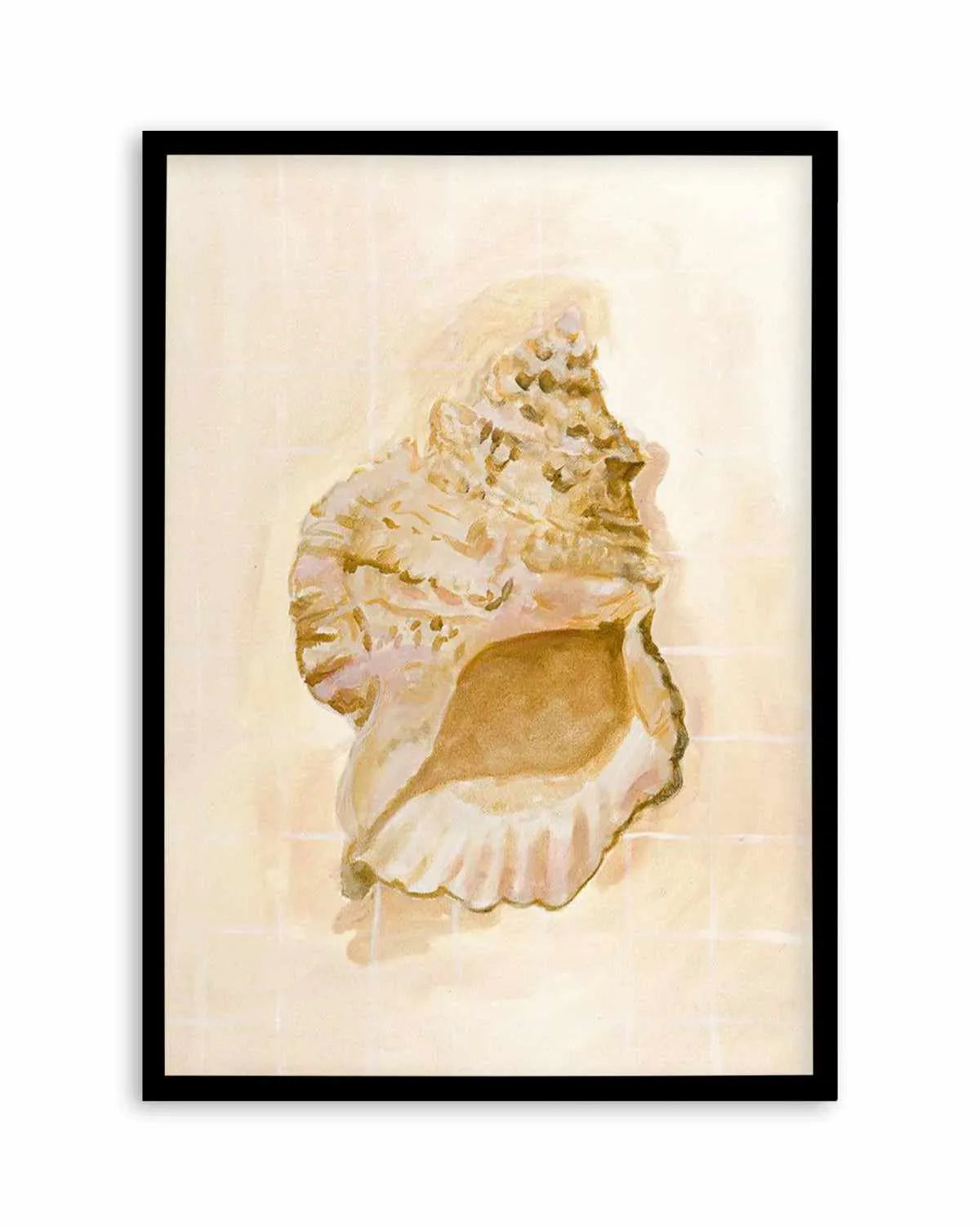 Bohemian Shell IV by Natalie Jane Art Print from Olive et Oriel where you can shop wallpaper and artworks online