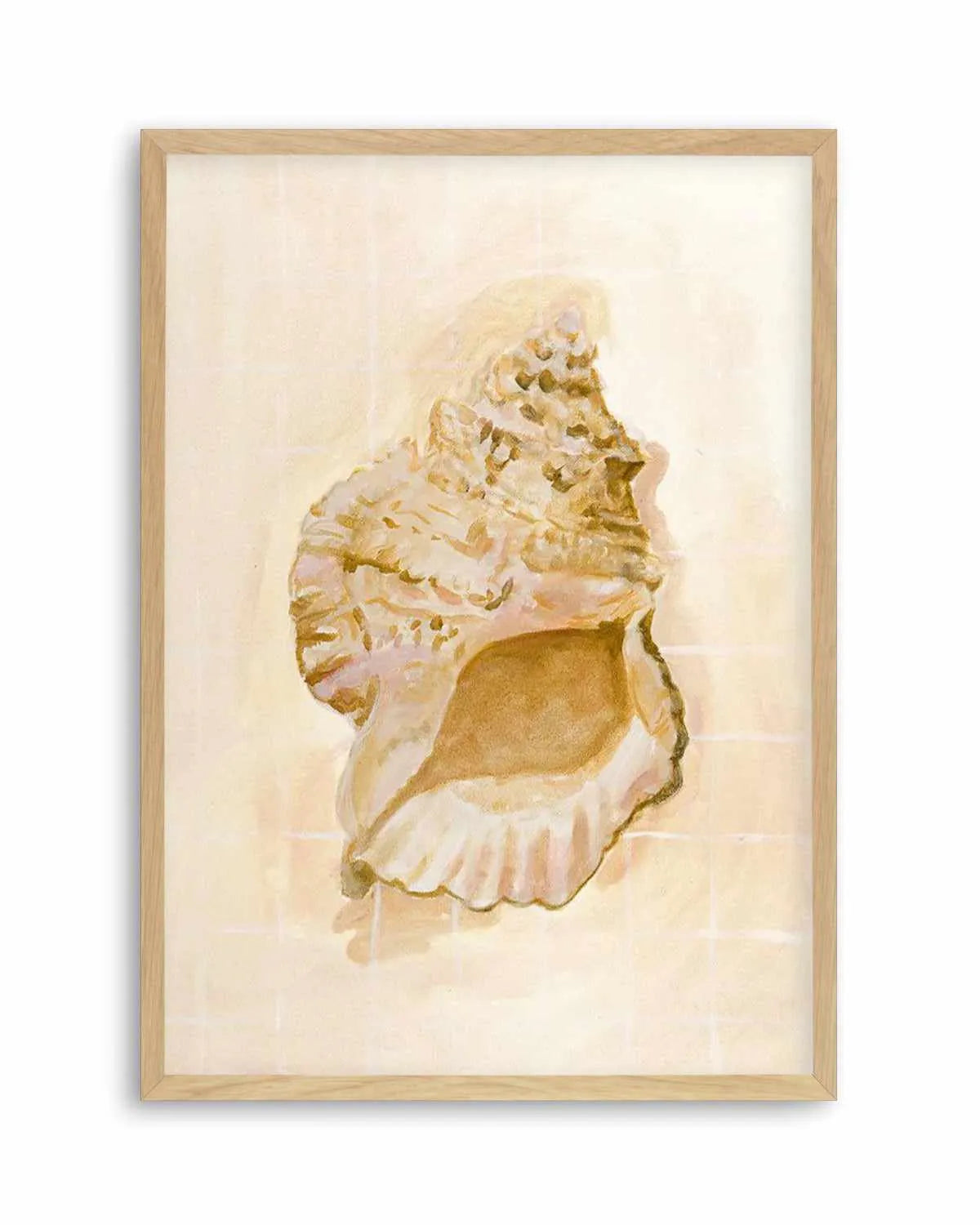 Bohemian Shell IV by Natalie Jane Art Print from Olive et Oriel where you can shop wallpaper and artworks online