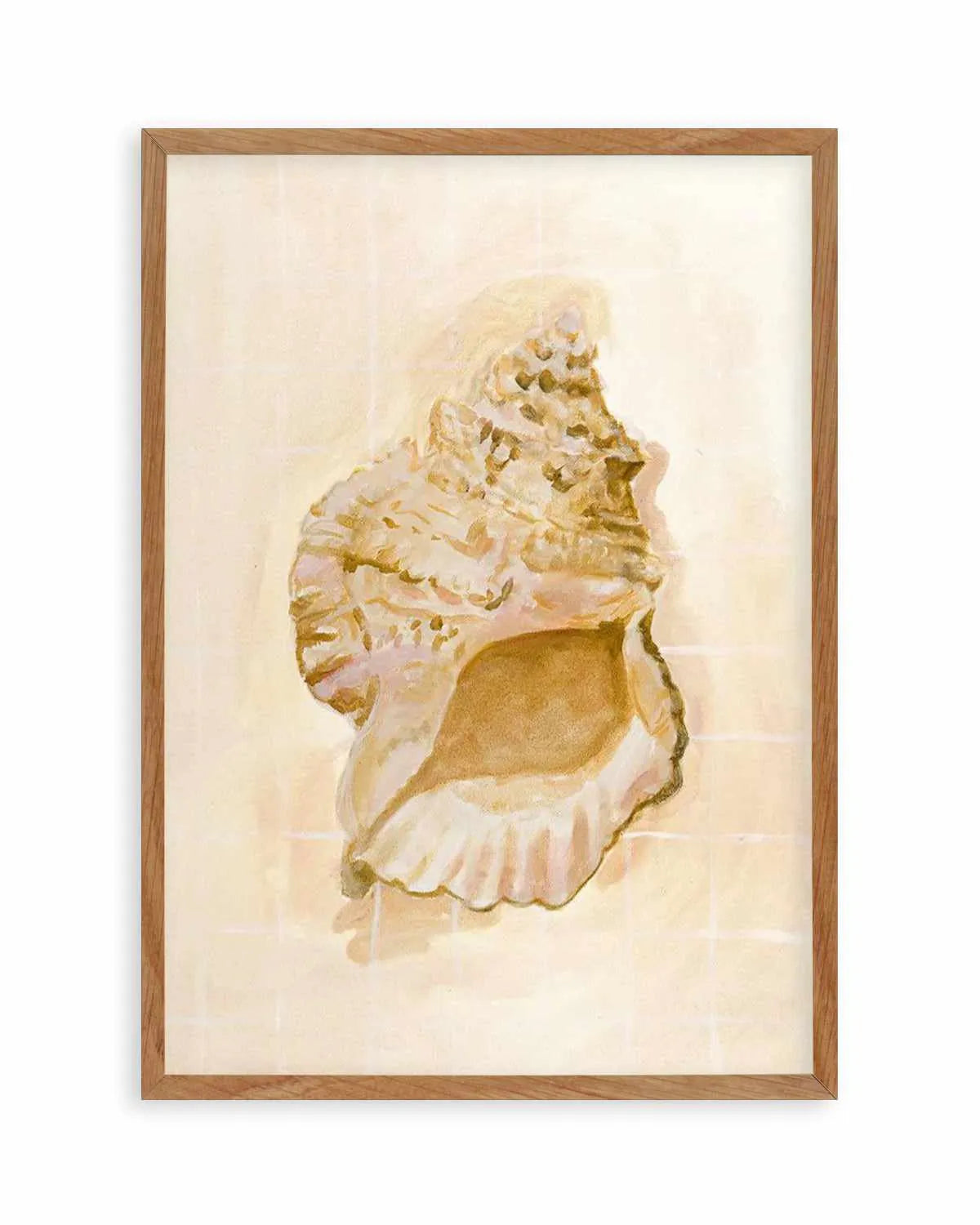 Bohemian Shell IV by Natalie Jane Art Print from Olive et Oriel where you can shop wallpaper and artworks online