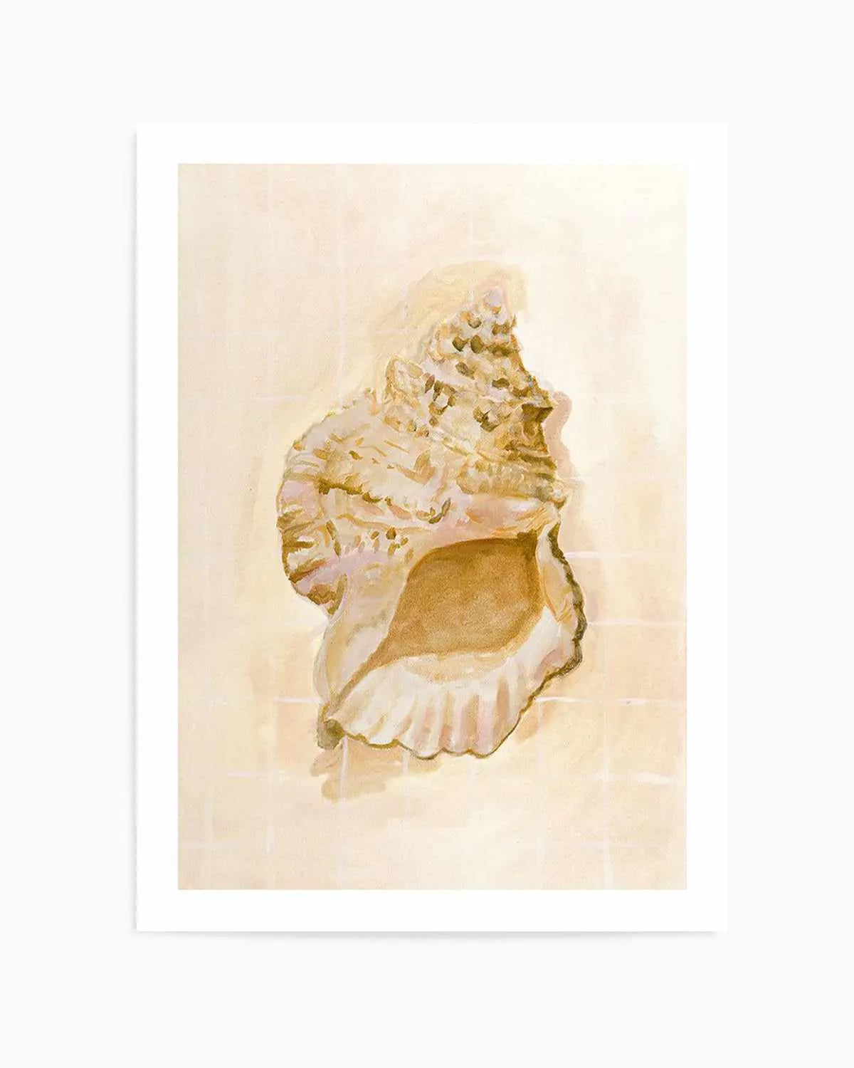 Bohemian Shell IV by Natalie Jane Art Print from Olive et Oriel where you can shop wallpaper and artworks online