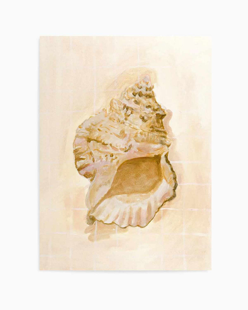 Bohemian Shell IV by Natalie Jane Art Print