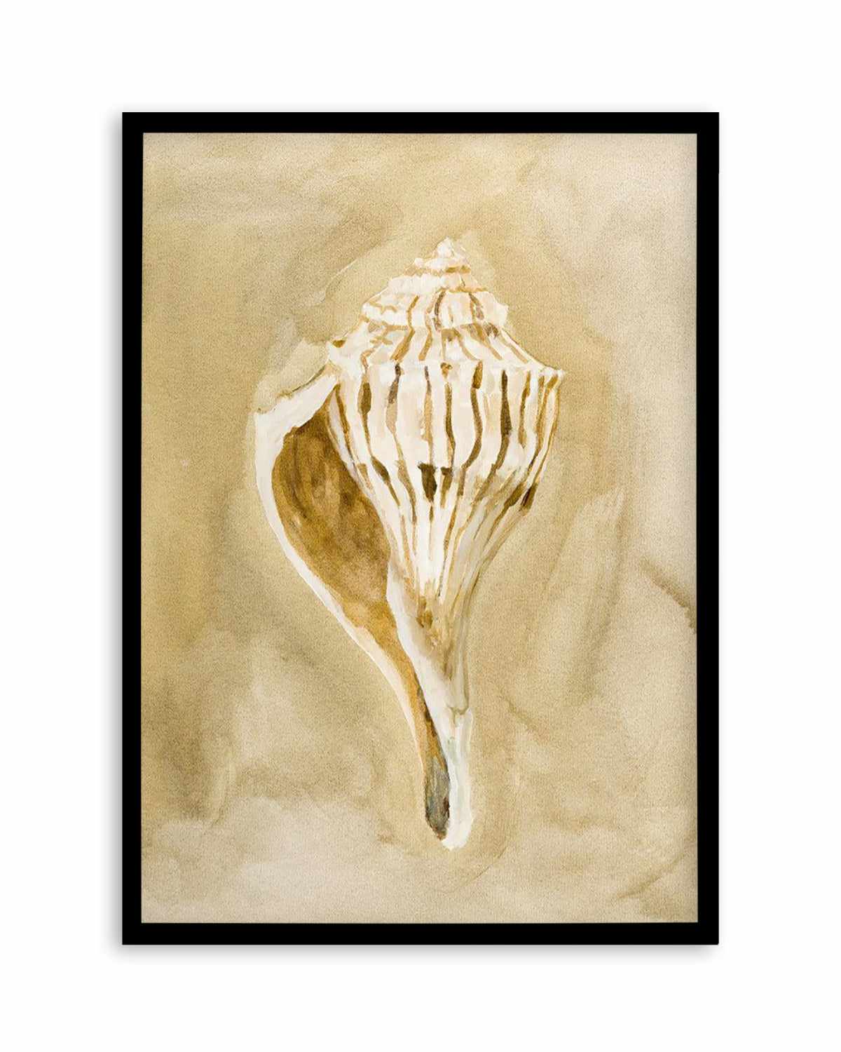 Bohemian Shell V by Natalie Jane Art Print