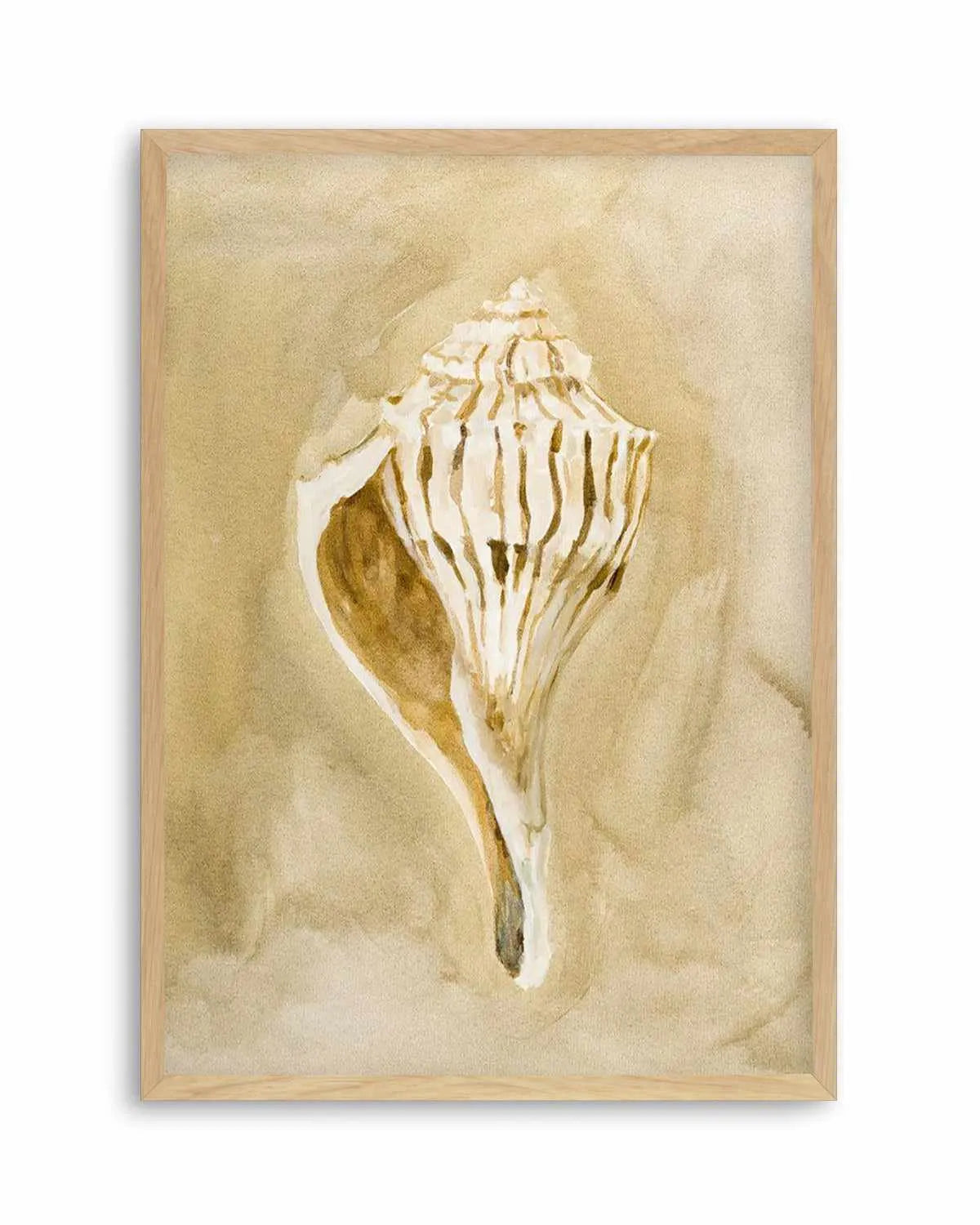 Bohemian Shell V by Natalie Jane Art Print from Olive et Oriel where you can shop wallpaper and artworks online