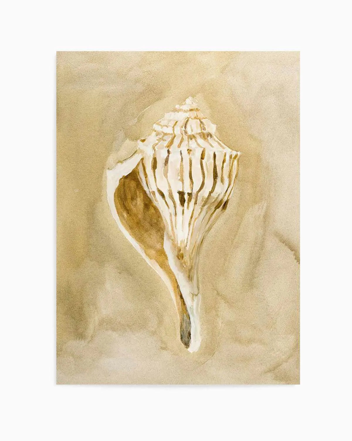 Bohemian Shell V by Natalie Jane Art Print from Olive et Oriel where you can shop wallpaper and artworks online