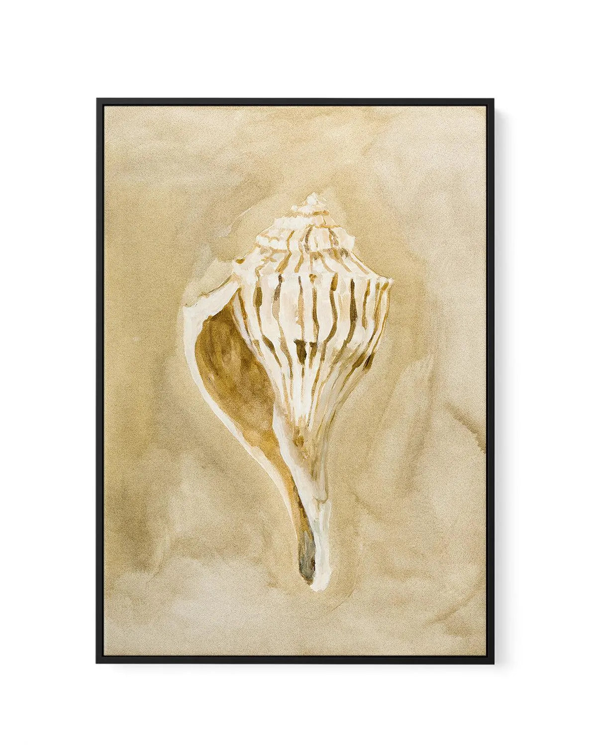 Bohemian Shell V by Natalie Jane | Framed Canvas Art Print from Olive et Oriel where you can shop wallpaper and artworks online