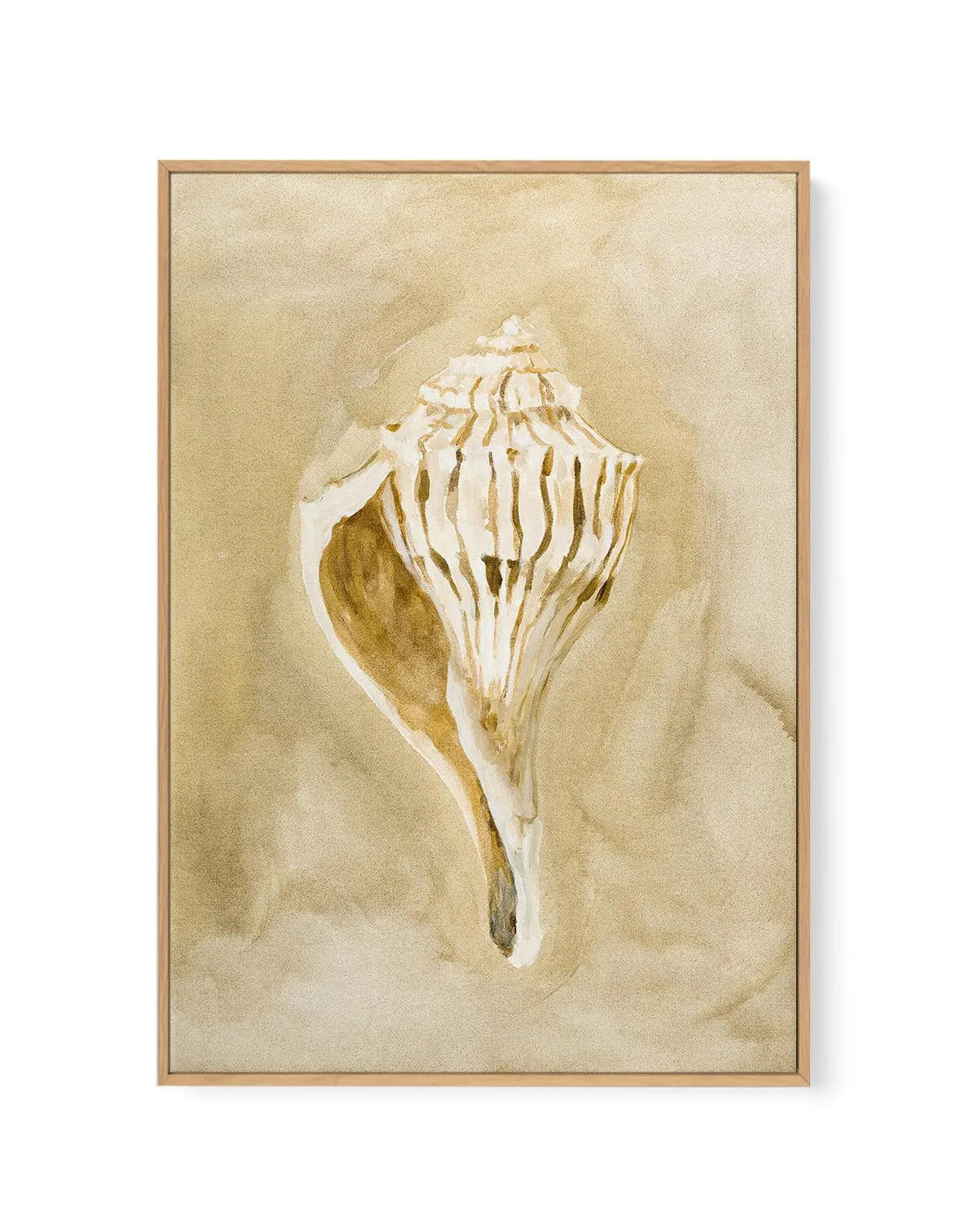 Bohemian Shell V by Natalie Jane | Framed Canvas Art Print from Olive et Oriel where you can shop wallpaper and artworks online