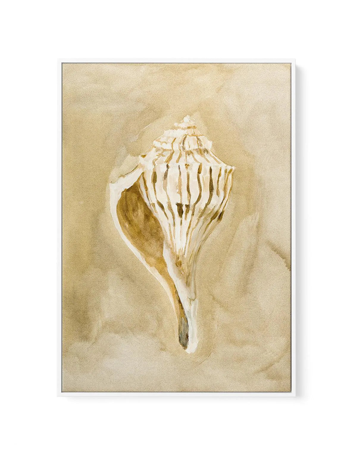 Bohemian Shell V by Natalie Jane | Framed Canvas Art Print from Olive et Oriel where you can shop wallpaper and artworks online