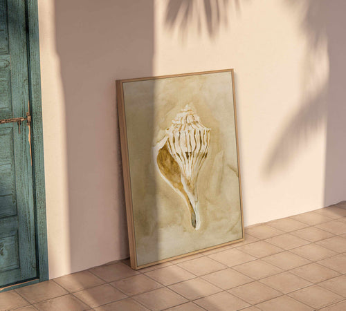 Bohemian Shell V by Natalie Jane | Framed Canvas Art Print
