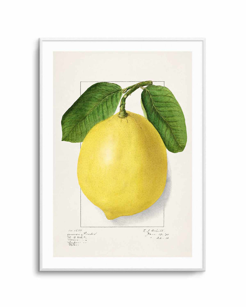 Bold Lemon Vintage Poster Art Print