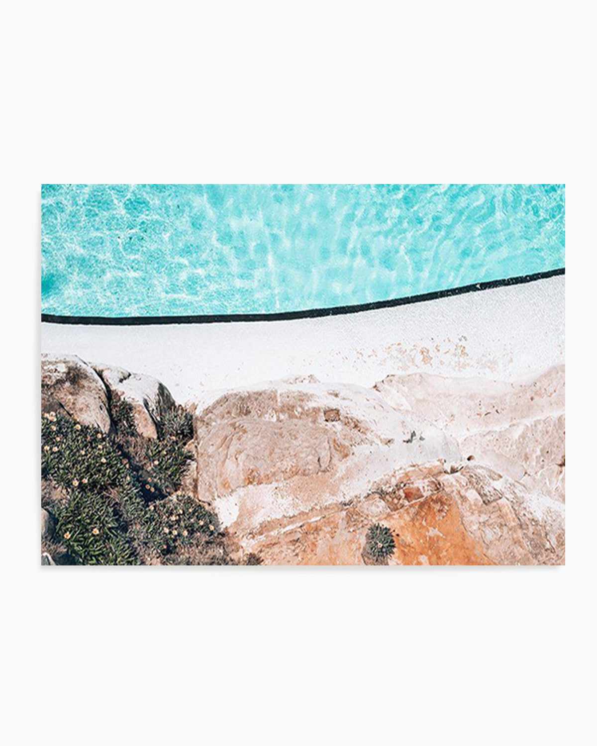 Bondi Icebergs In Bloom Art Print