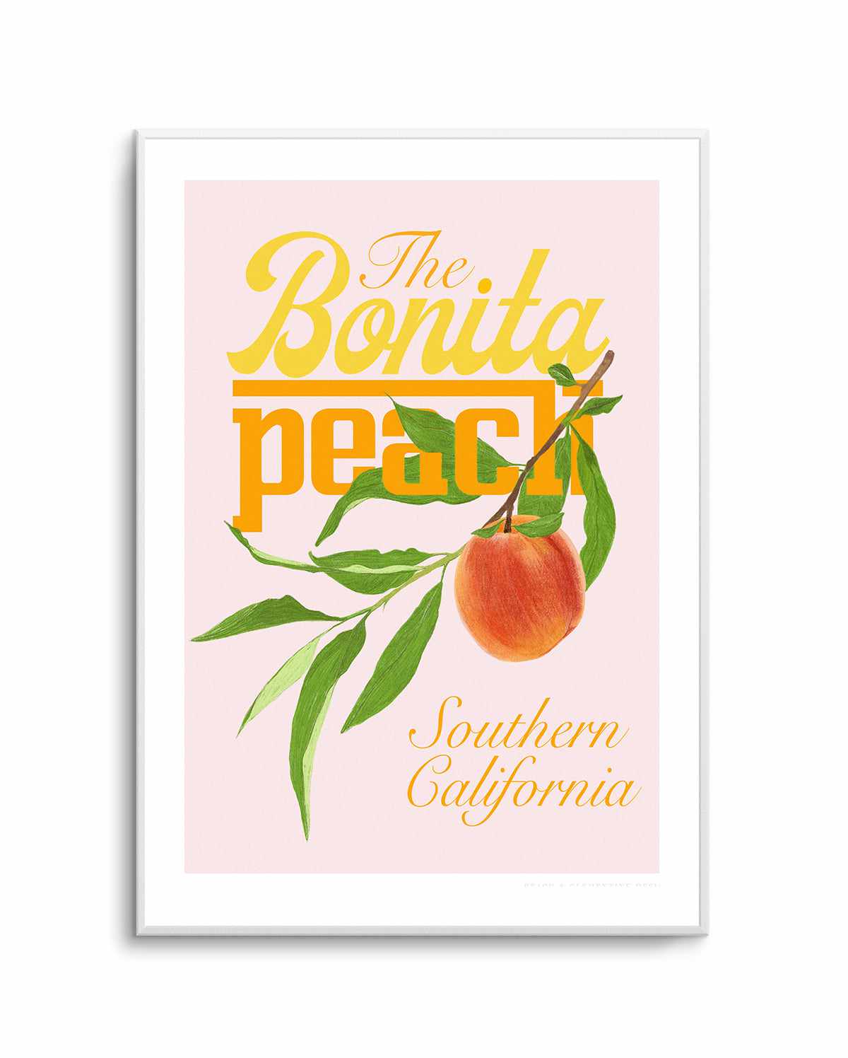 Bonita Peach by Jenny Liz Rome | Art Print