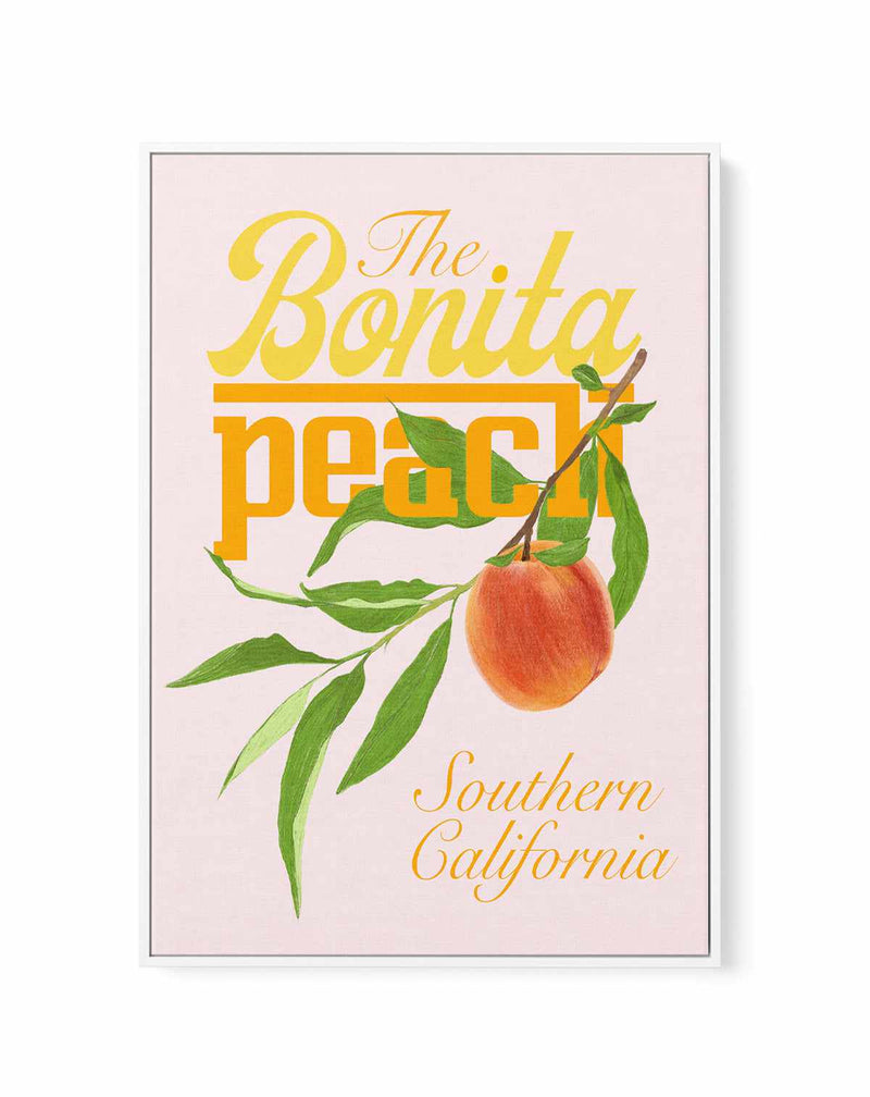 Bonita Peach by Jenny Liz Rome | Framed Canvas Art Print