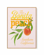 Bonita Peach by Jenny Liz Rome | Framed Canvas Art Print