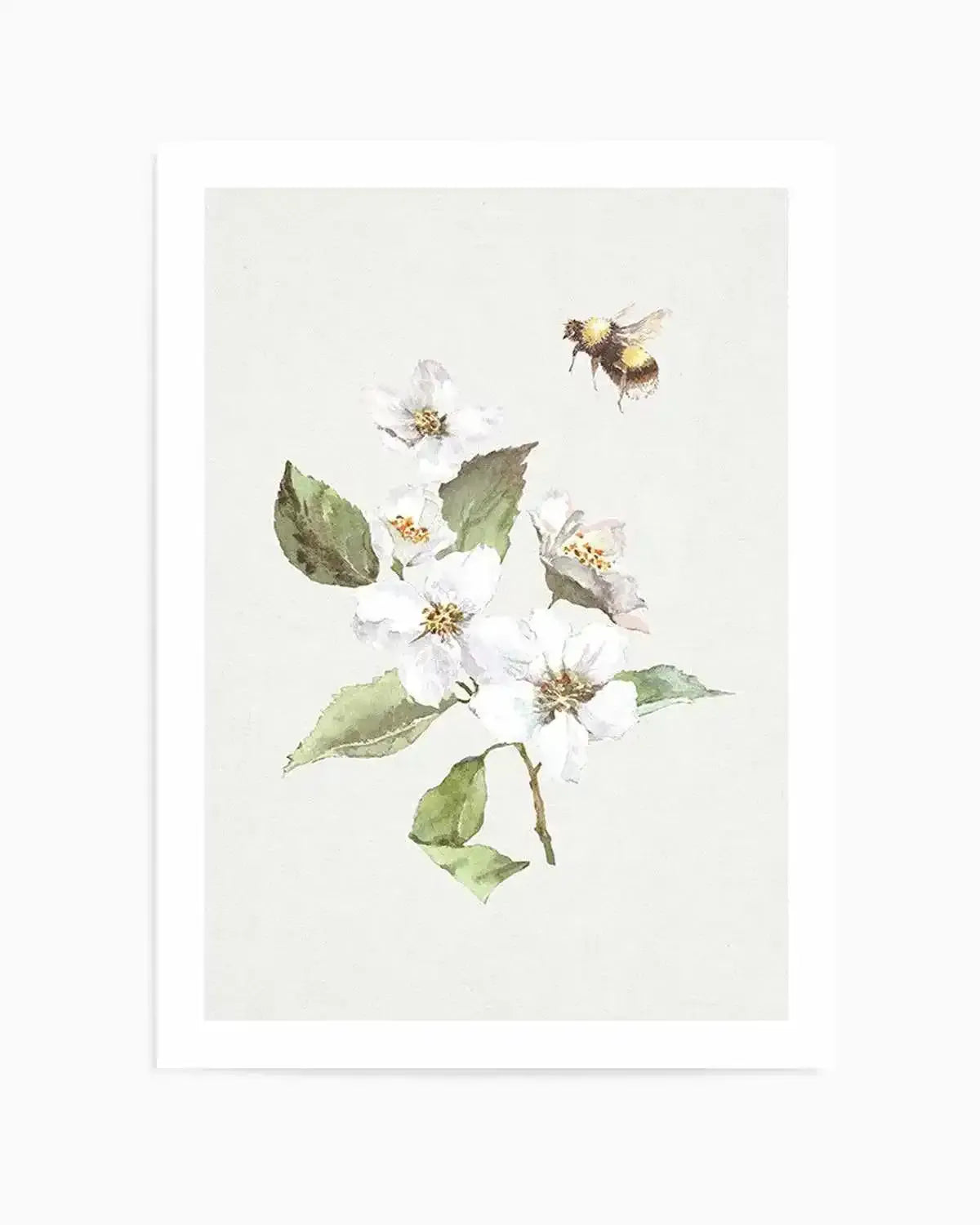 Botanica Bees I Art Print from Olive et Oriel where you can shop wallpaper and artworks online