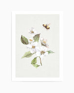 Botanica Bees I Art Print