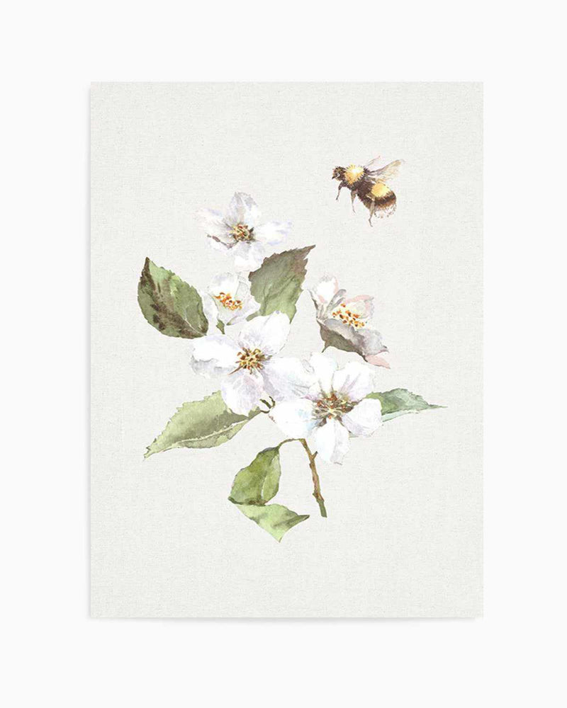 Botanica Bees I Art Print